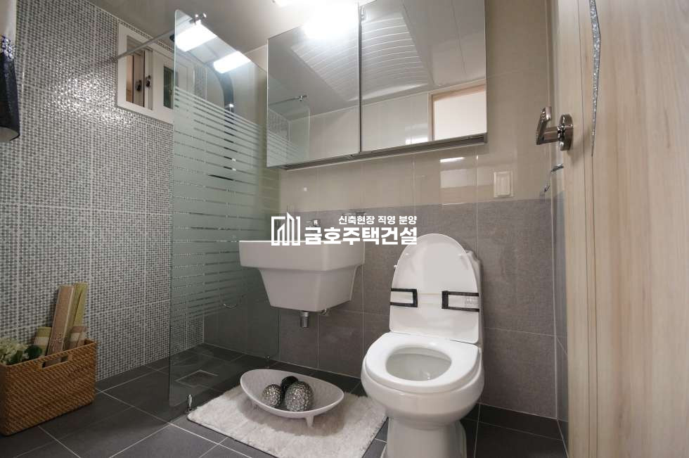 인천 검단구 마전동 마전동 왕테라스 복층 합법복층 / 대형세대 및 애완견 키우시는 분들 강추 현장! 분양 매물번호 10931 사진 11