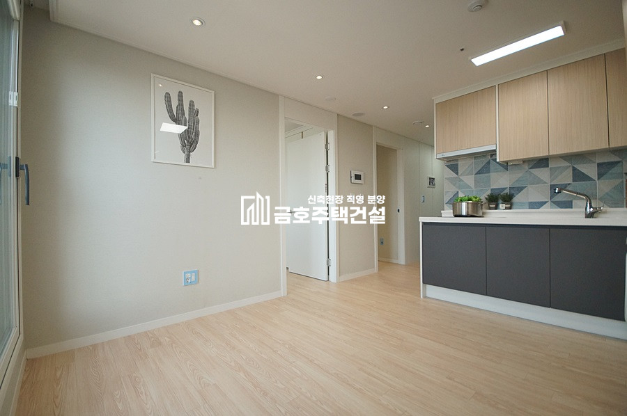 인천 부평구 부평동 유하임2차 / 2룸 A , B Type 분양 매물번호 11259 사진 20