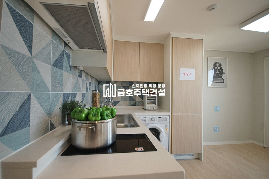 인천 부평구 부평동 유하임2차 / 2룸 A , B Type 분양 매물번호 11259 사진 24
